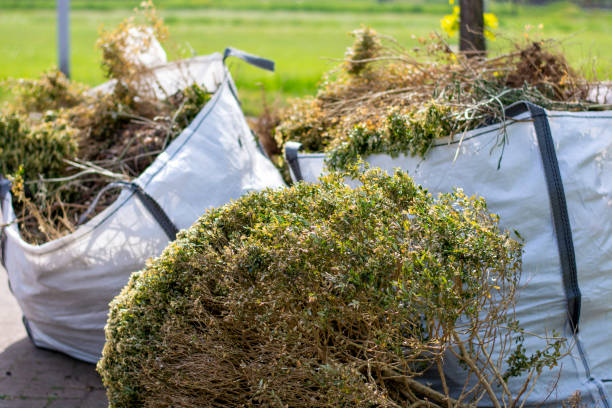 Best Shed Removal  in Jackson, MO